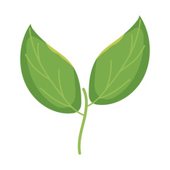 green leaves icon