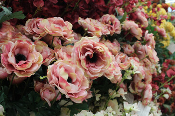 a showcase with flowers in the greenhouse of a store for a garden with decorative rose plants