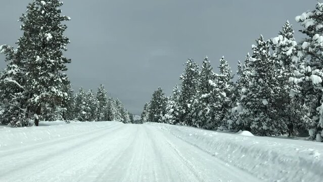 Driving down a snowy road in winter