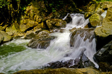 Obraz premium Beautiful nature river and forest, west java, Indonesia. Rivers are the lifeblood of not only forest preservation but also human survival 