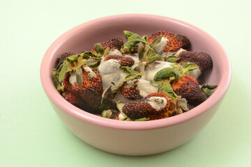 Moldy and dried out strawberries in pink dish on light green background