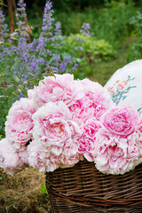 pink peony in the basket
