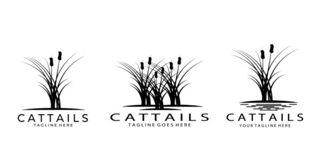 set of cattails logo vector illustration design, line art, minimalist