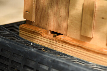 養蜂　蜜蜂の巣箱　ミツバチ
