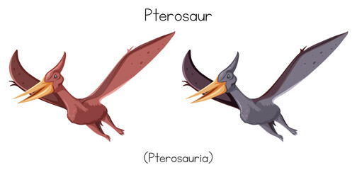 Pterosaurs in two colors