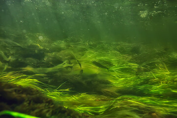 sun rays under water landscape, seascape fresh water river diving