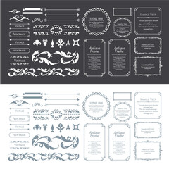 春の植物モチーフのフレームセット。ビンテージフラワー。装飾デザイン。流行りのあしらい