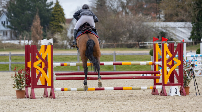 Pferd springt &uuml;ber ein Hindernis beim Springreiten