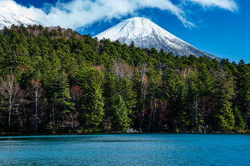 コバルトブルーの湖から見る阿寒富士