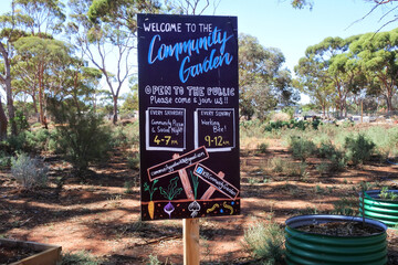 Kalgoorlie community garden in Western Australia