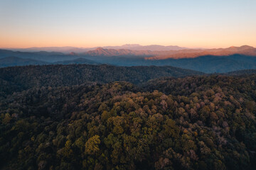 landscape, summer scenery on the mountain in the evening