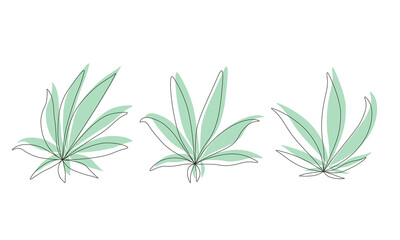 Set of Cannabis leaf sign logo.