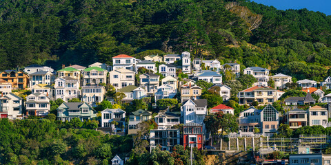 Daytime view of a large number of houses clustered on the slopes of Mount Victoria, Wellington. Wellington is the capital of New Zealand. - obrazy, fototapety, plakaty