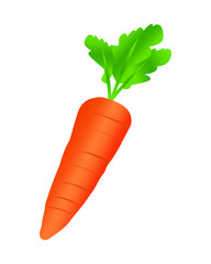 Carrot with leaves vector isolated on white. Fresh vegetable.