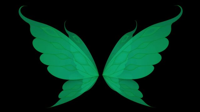 Animation green wing on black background. 
