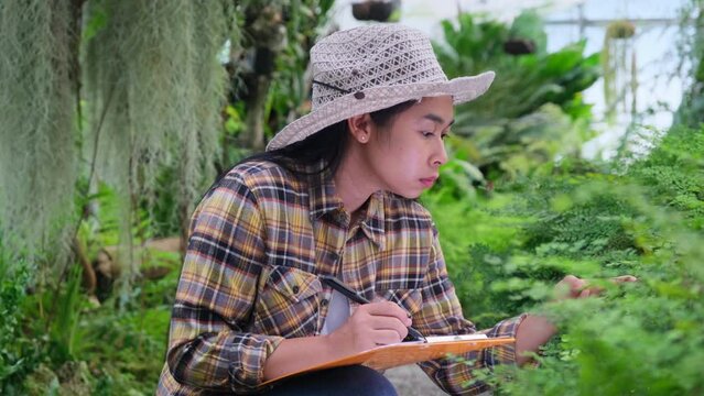 Female gardener takes notes on a clipboard while working in a greenhouse. Female botanist works in a botanical garden. Female environmentalist exploring tropical plants in glasshouse.