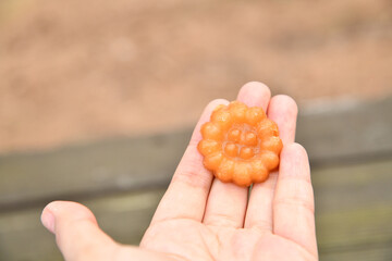 Korean food snacks yakgwa traditional Korean food