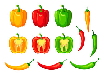 Set of fresh yellow, red and green sweet peppers and chili in cartoon style. Vector illustration of vegetables whole and cut in half on white background.