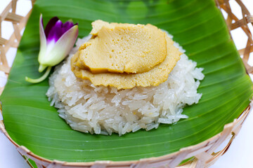 Thai dessert, Sweet sticky rice with egg custard