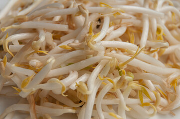 Close up of bean sprouts. Healthy food and concept.