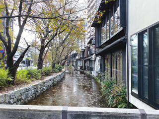 river side view at Kyoto, Japan