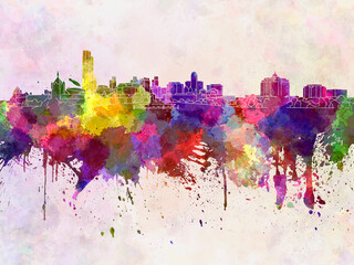 Albany skyline in watercolor background