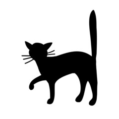 Silhouette of a cat or kitten. Vector isolated silhouette of a cat, logo, print, decorative sticker