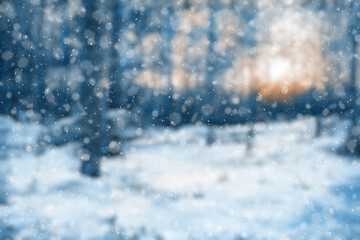  blurred winter forest