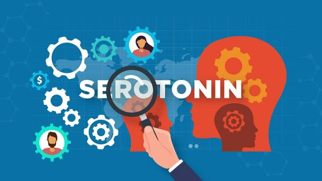 serotonin concept animation.gears and Silhouette of a human head.