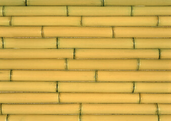 Horizontal arrangement of yellow bamboo close-up.Texture or background