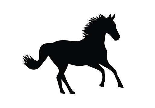 Black silhouette of running horse.  Stallion lowered its head and gallops.