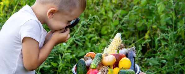A child looks at fresh vegetables in a bowl through a magnifying glass. Nature