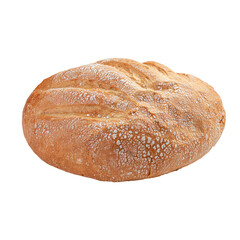 Isolated freshly baked loaf of creamy bread on white background