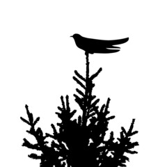 Cuckoo sitting on top of fur tree. Vector silhouette