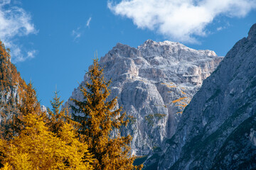 Alps Mountains in the autumn season. Peaks and trees against the