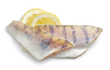 fresh raw zander filet