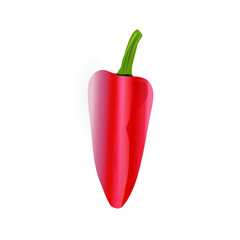 Chili pepper isolated on white background. Red chili pepper.