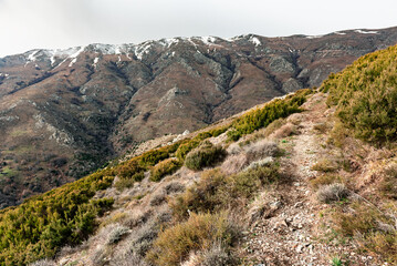 Sardegna, veduta della montagna del Bruncu Spina, a Fonni, in Italia, Europa 