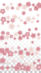 Vector Realistic Pink Flowers Falling on Transparent Background.  Spring Romantic Flowers Illustration. Flying Petals. Sakura Spa Design. Blossom Confetti. Design Elements for Wedding Decoration.