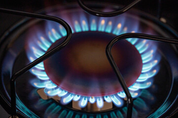 A gas burner showing its blue flames.  Heat energy abstract.