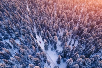 Foto auf Alu-Dibond Red car driving on winding road through snowy forest, sun light. Concept winter travel, aerial view © Parilov