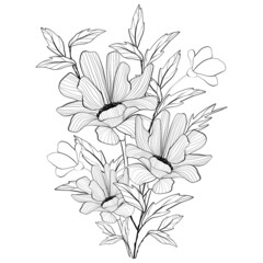 Bouquet of wild flowers. Composition from botanical elements. Flowers and leaves in line art style. Flower coloring page.
