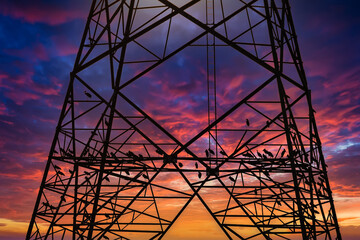 Silhouette of bird perched on high voltage post,High voltage tower sky sunset background.