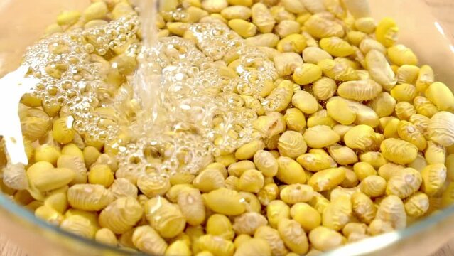 Cooking Peruvian Canary beans. Soaking in a glass bowl. Pouring water in slow motion. Close-up