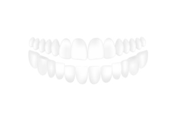 Lower and upper jaw white teeth realistic template vector illustration isolated. © sabelskaya