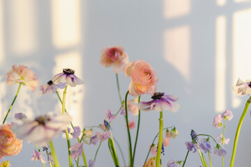 Multi colored flowers in front of white wall