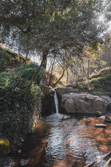 Idyllic waterfall in the middle of a forest