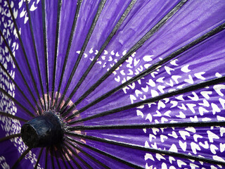 美しい紫の和傘