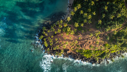 Coconut Tree Hill, Mirissa, Sri Lanka