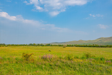 spacious green fields and mountains in georgia in summer